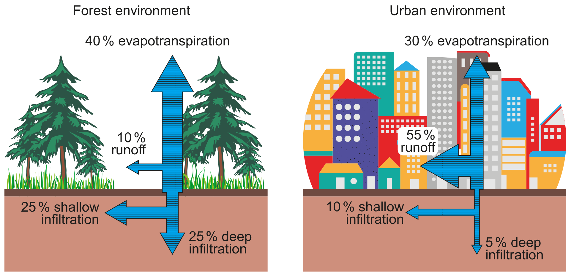 Figure 2(a): Water transfers and transformations after rainfall in forest and urban environments
