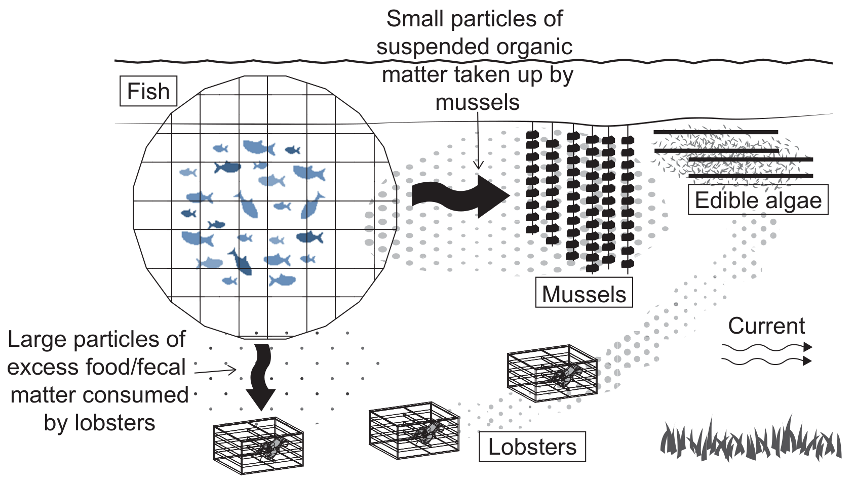Figure 3: Integrated aquaculture