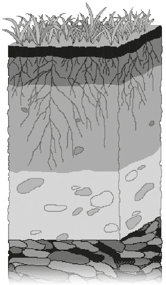 Figure 1: A typical soil profile