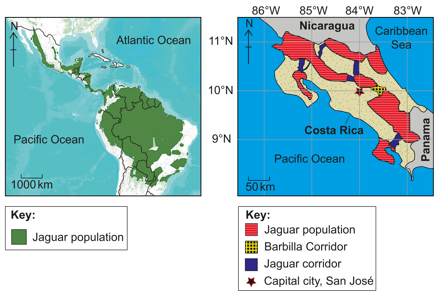 Figure 6(d): The Barbilla Corridor within the larger international network connecting jaguar populations
