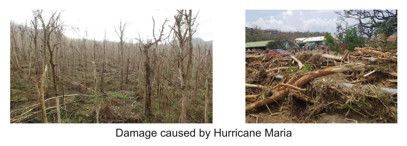 Figure 3(c): Impacts of Hurricane Maria illustration