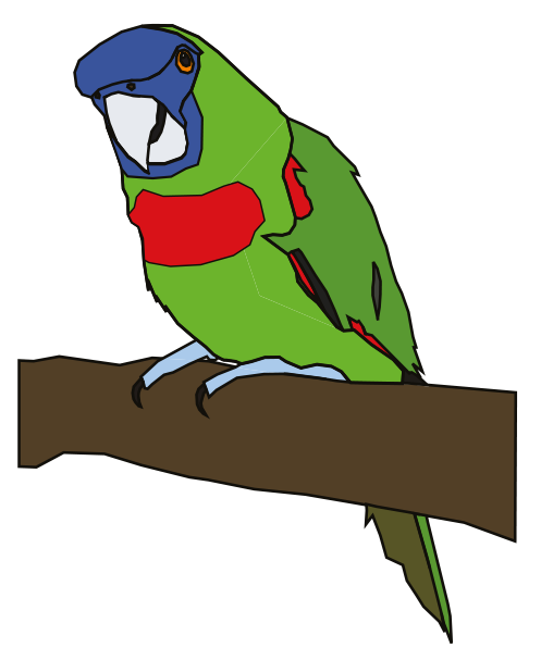 Figure 2(a): Red-necked amazon fact file