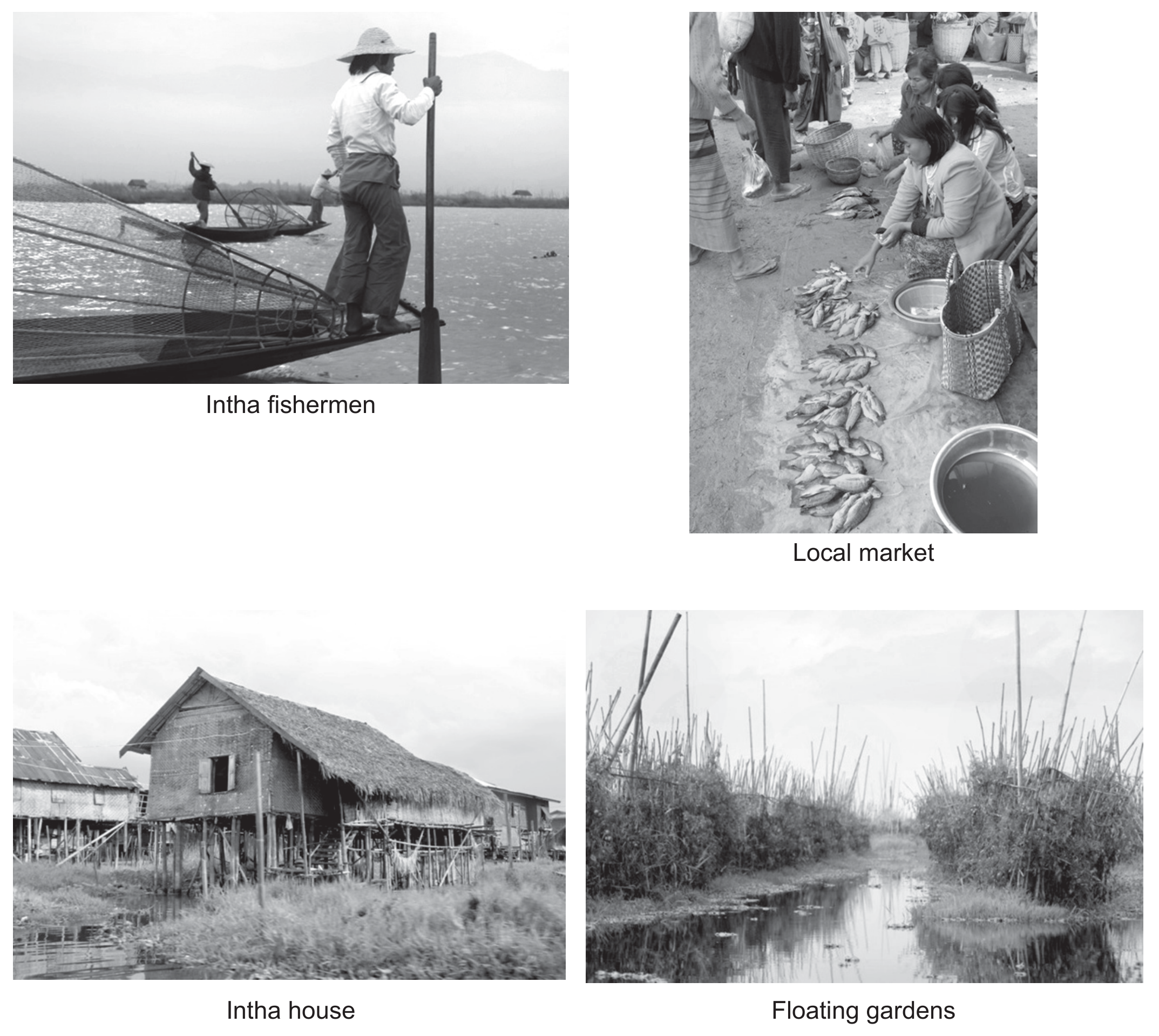 Figure 4(a): Human activity on and near Inle Lake