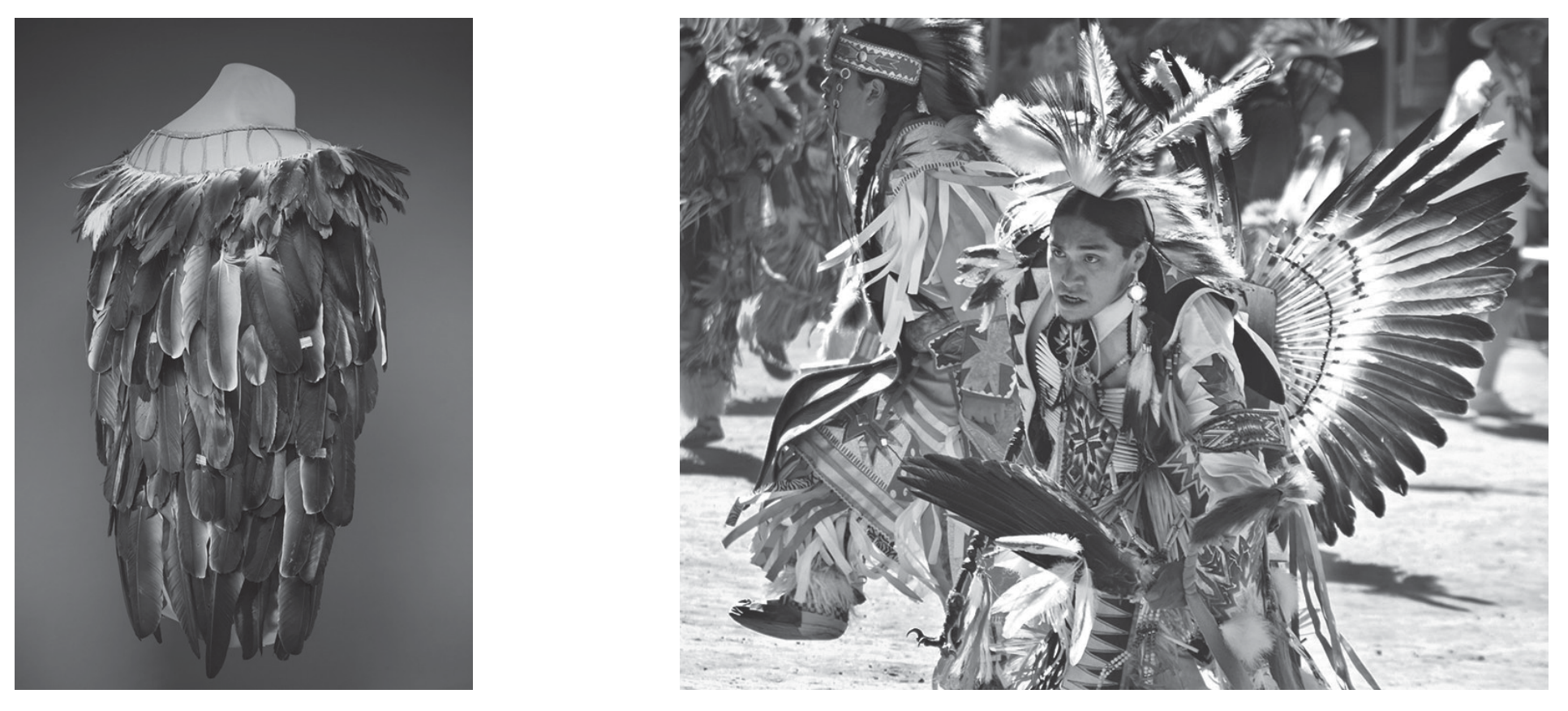 Figure 7(a): Condor cape and Chumash traditional dance