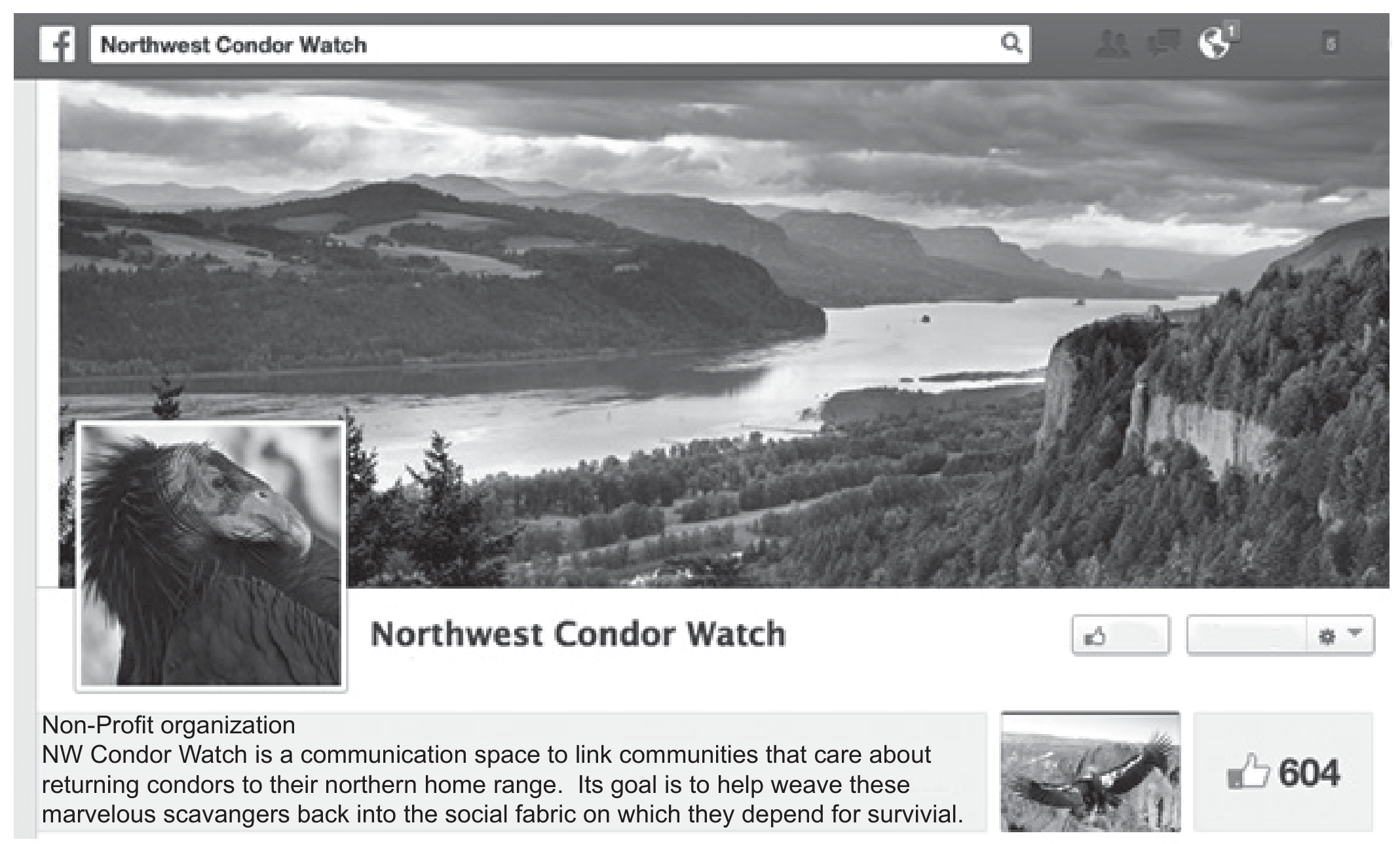 Figure 8(a): Northwest Condor Watch Facebook page