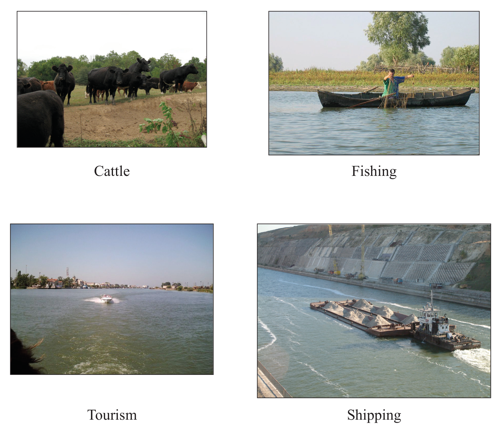 Figure 6: Natural income sources from the Danube River delta