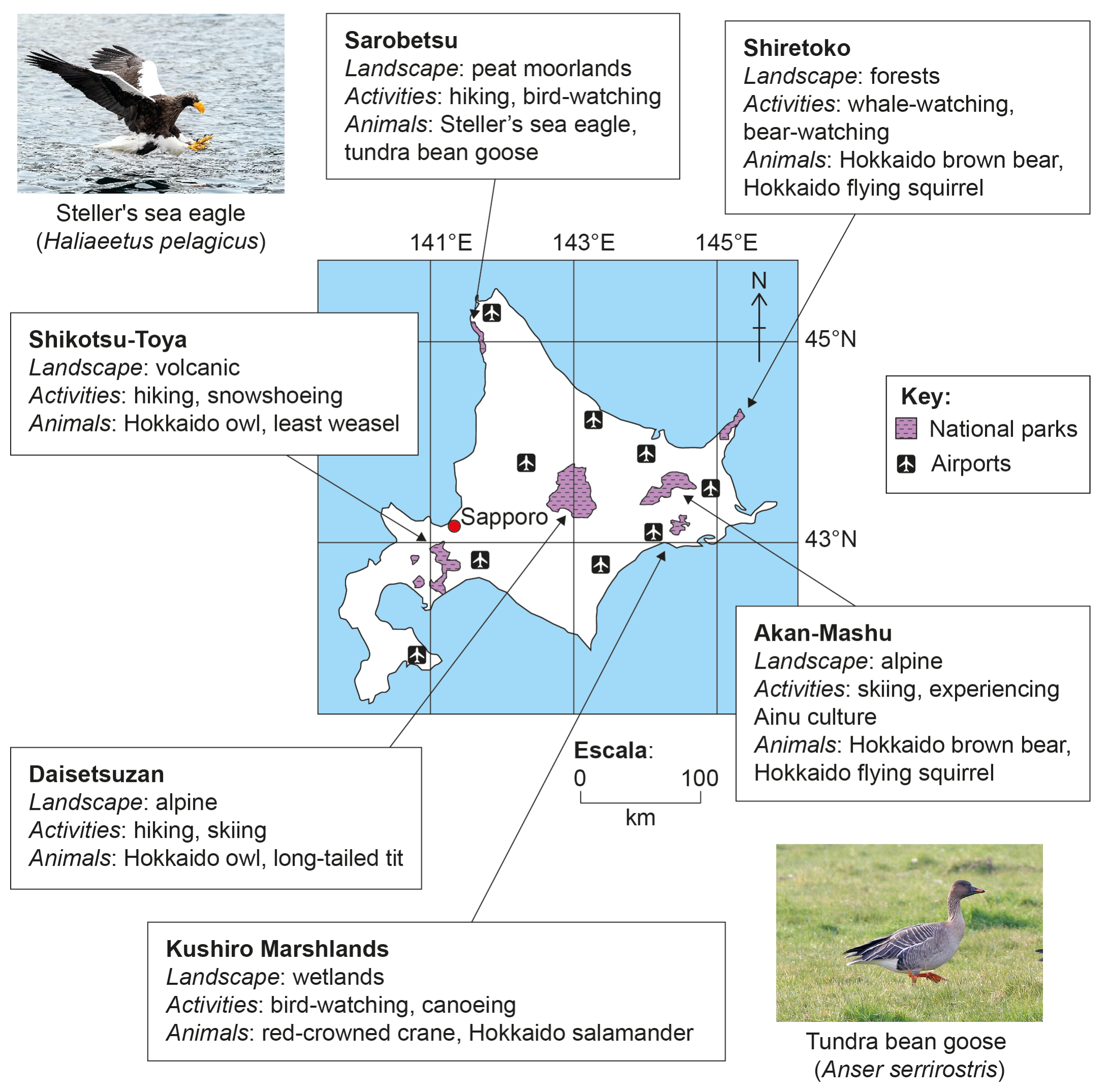 Figure 3(b): Hokkaido's national parks and airports