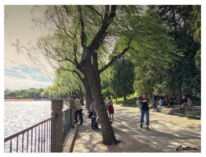 Figure 8: Urban trees and green space in Beijing