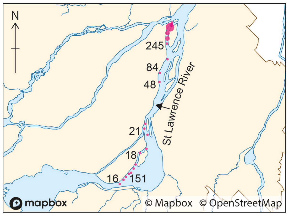 Figure 11(a): Coliform bacteria before untreated sewage release