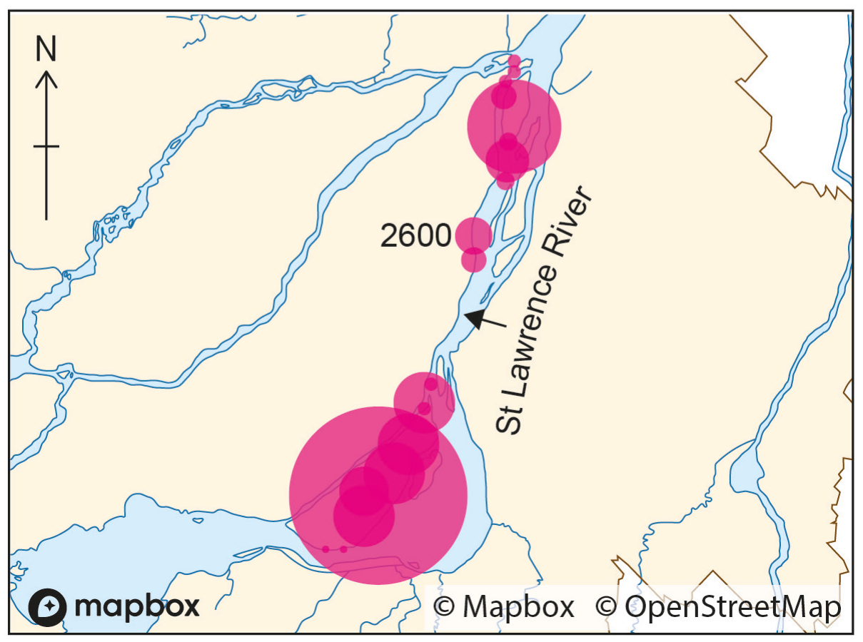 Figure 11(b): Coliform bacteria one day after untreated sewage release