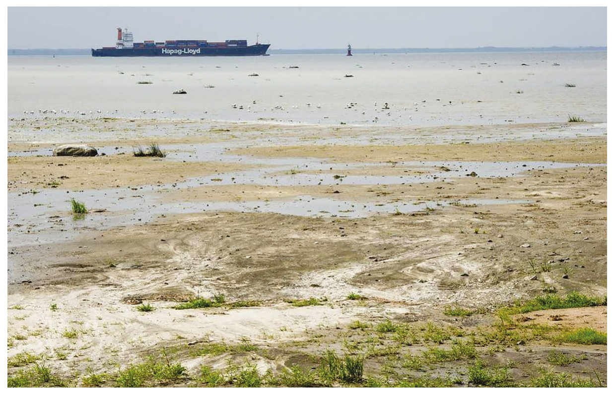 Figure 4(b): Mudflats along the St Lawrence River estuary at low tide