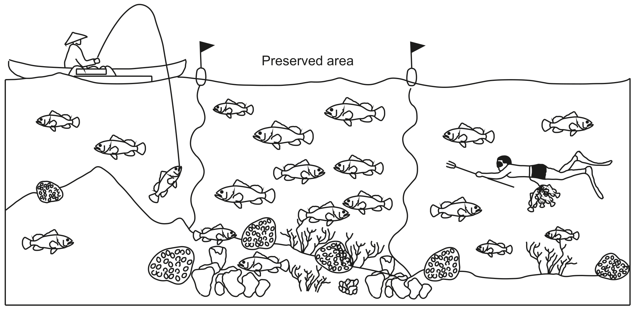 Figure 8(b): Marine area with preserved/no-take area