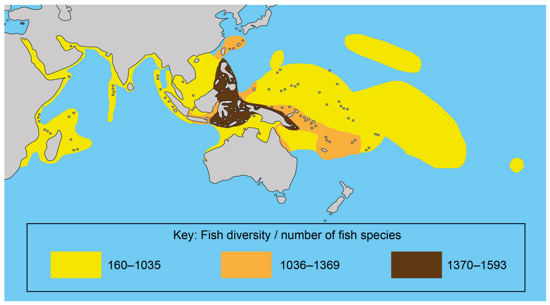Figure 4(b): Coral reef fish diversity
