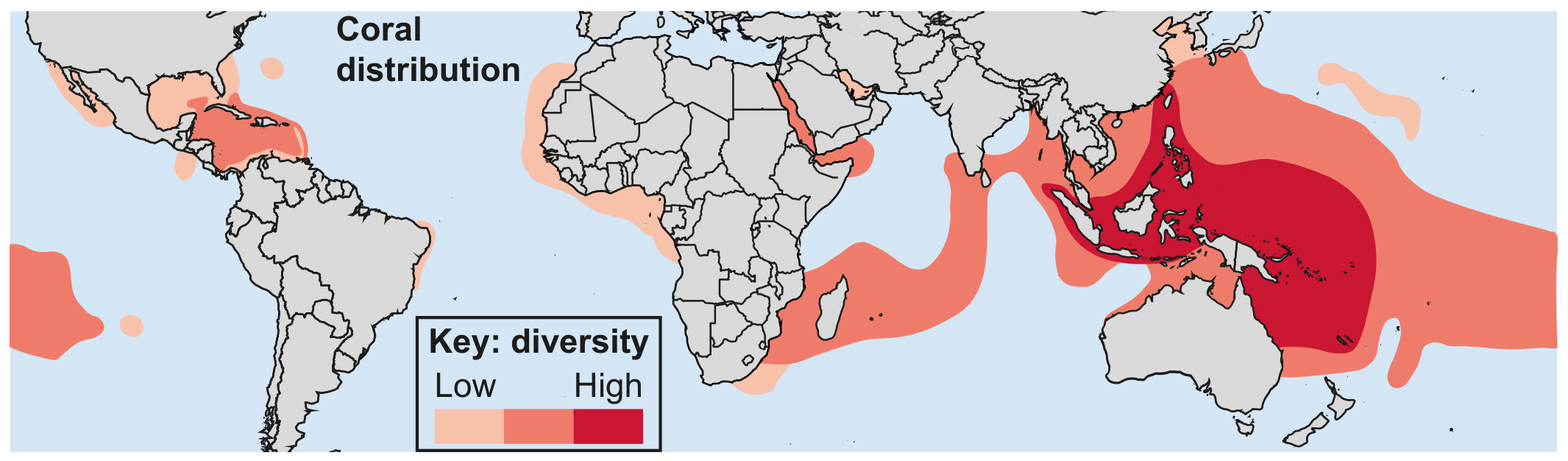 Figure 4(c): Coral distribution and diversity