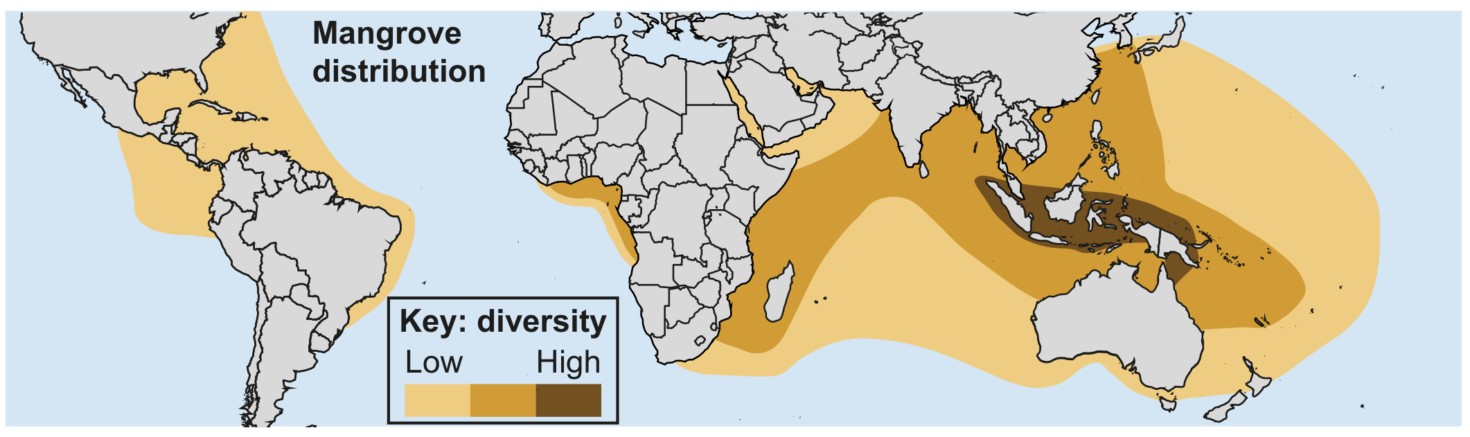 Figure 4(c): Mangrove distribution and diversity