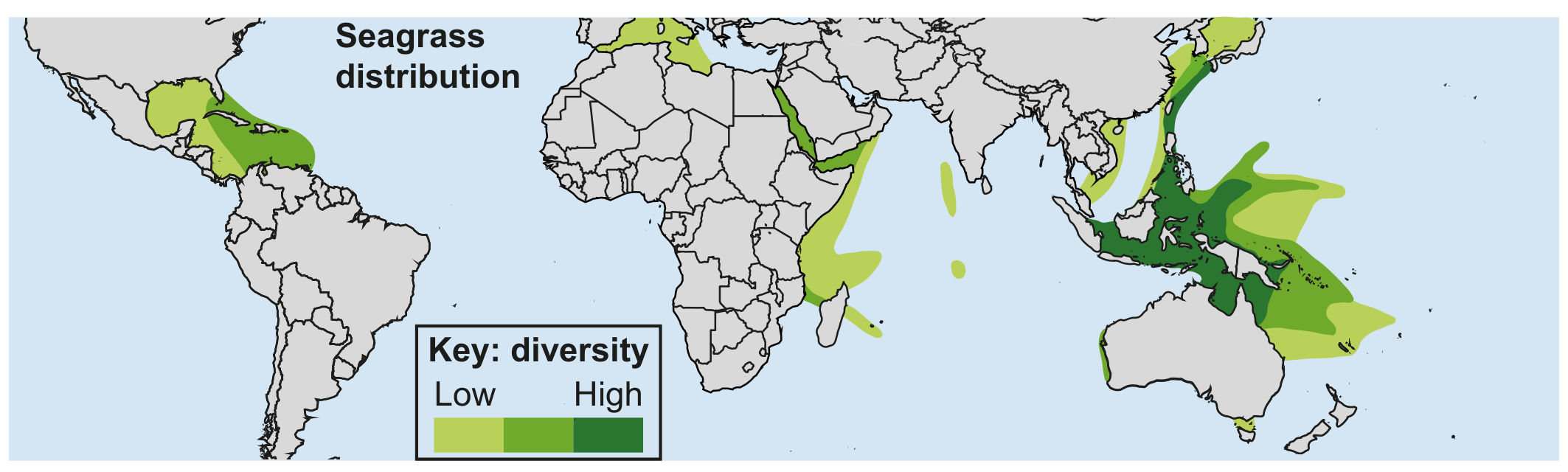 Figure 4(c): Seagrass distribution and diversity