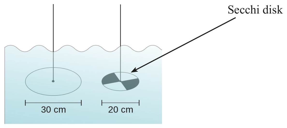 Figure 9(a): Secchi disk method used to test water quality