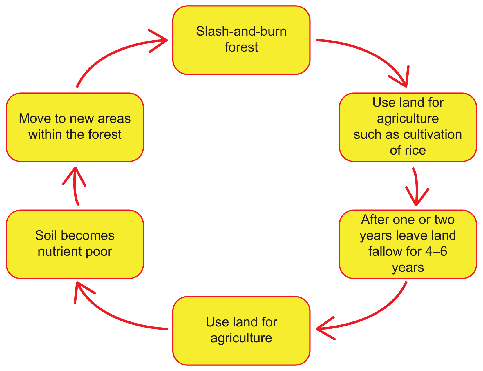 Figure 4(a): Tavy slash-and-burn agriculture cycle