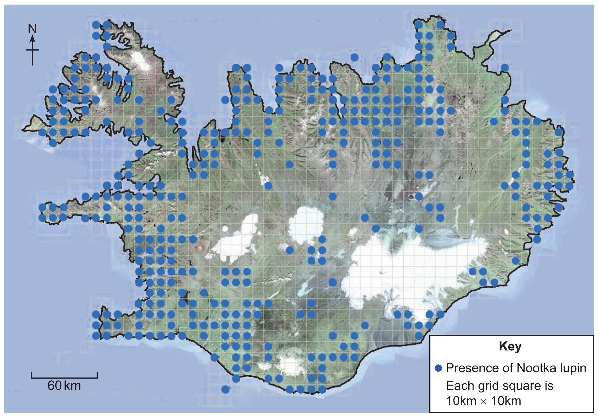 Figure 7(b): Known distribution of Nootka lupin in 2010