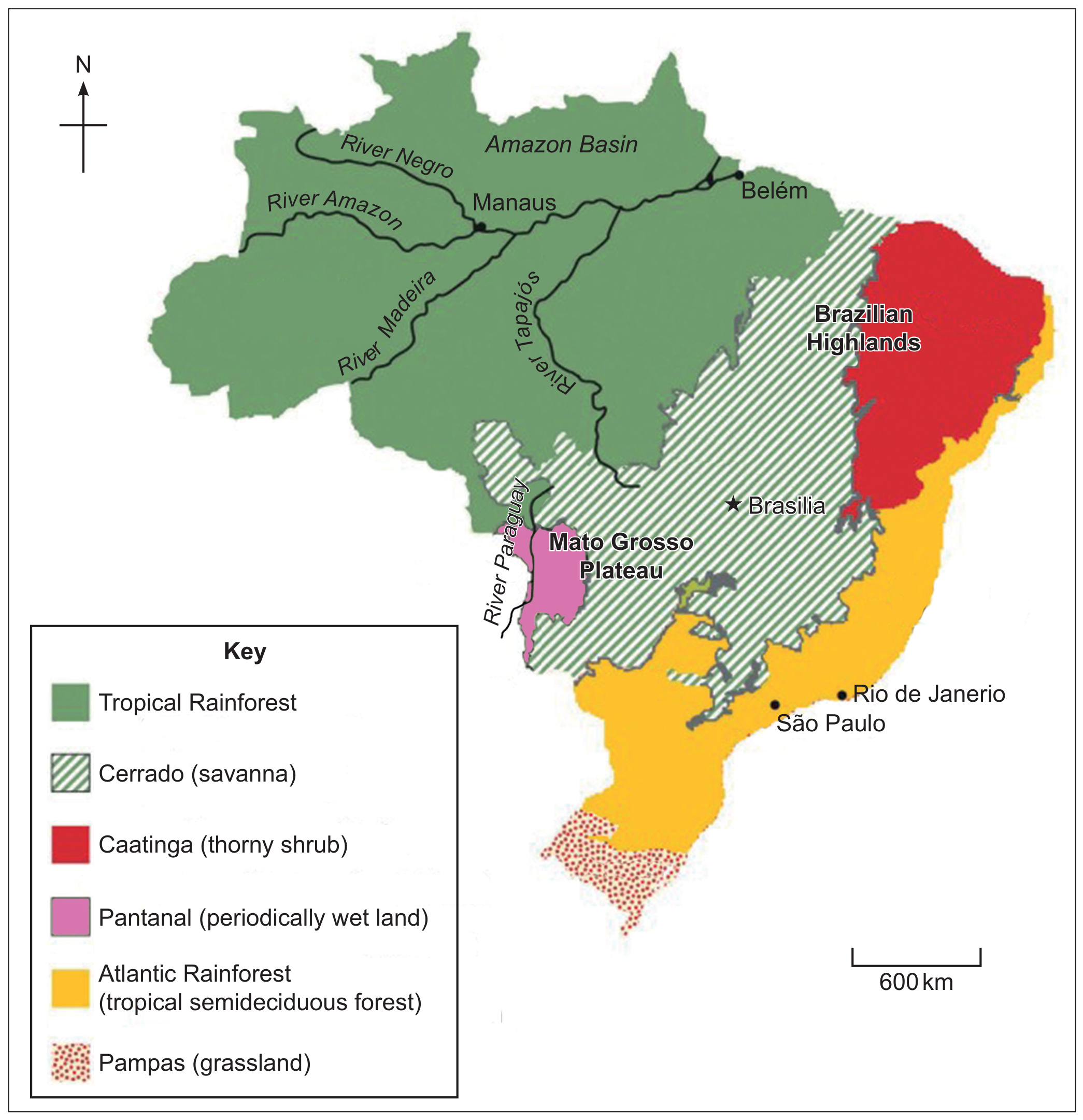Figure 2: Brazil vegetation map, including Cerrado and Atlantic Rainforest