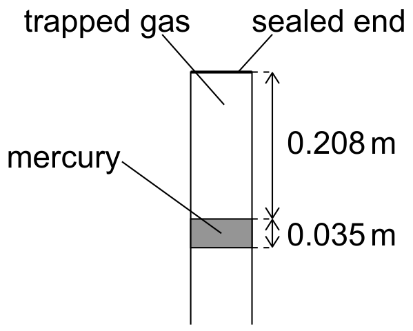 Figure for Question (ii) — IB Physics SL