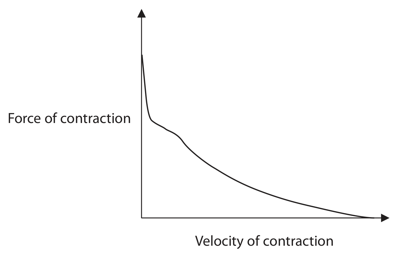 Figure for Question 4(c) — Edexcel A-Level Biology A2