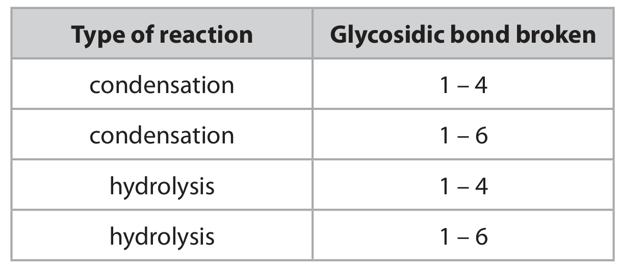 Table for Question 5(c)(i) — Edexcel A-Level Biology AS