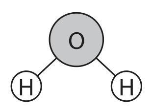 Figure for Question 4(a)(ii) — Edexcel A-Level Biology AS