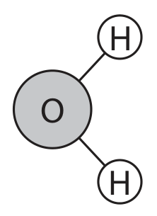 Figure for Question 4(a)(ii) — Edexcel A-Level Biology AS