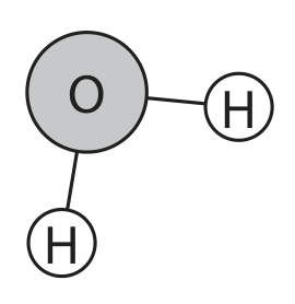 Figure for Question 4(a)(ii) — Edexcel A-Level Biology AS
