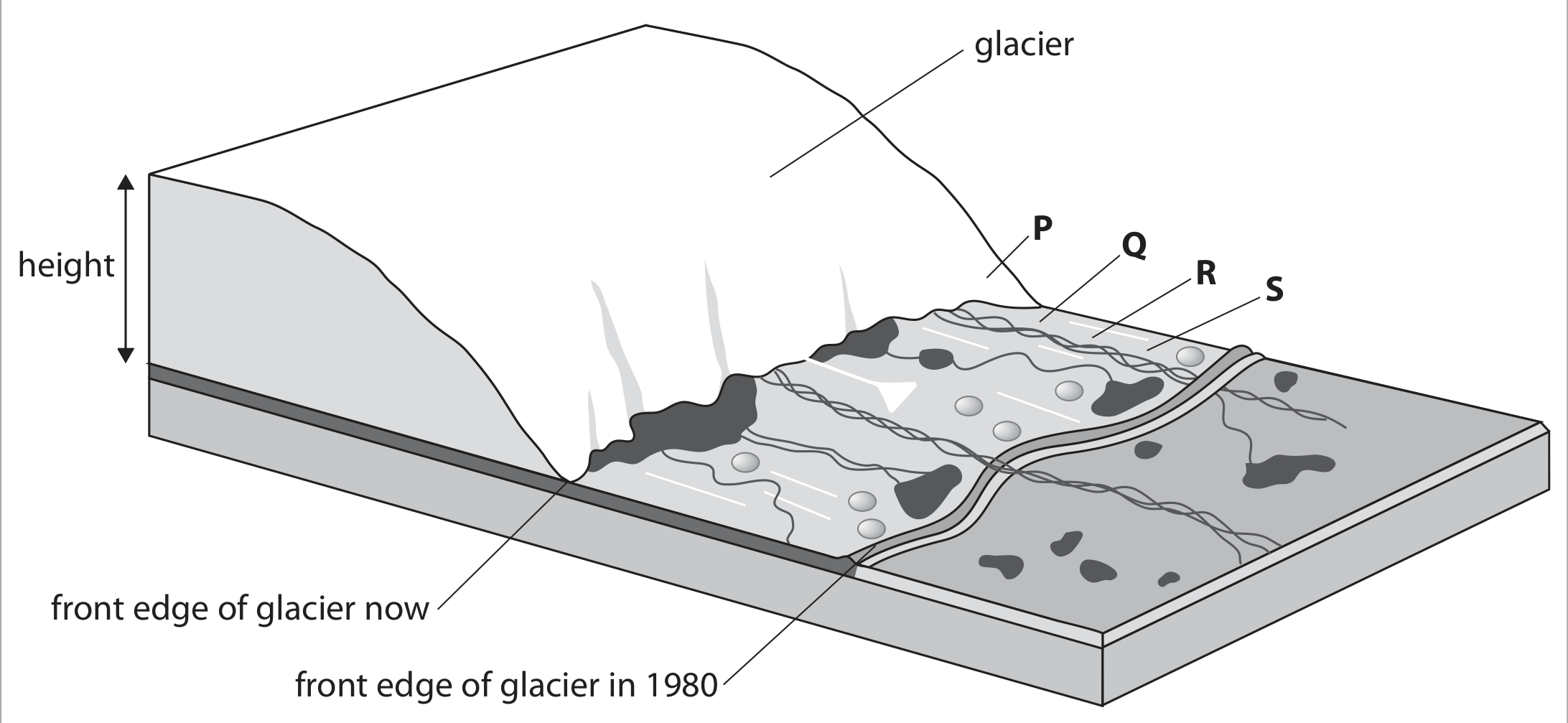 Figure for Question 4 — Edexcel A-Level Biology A2