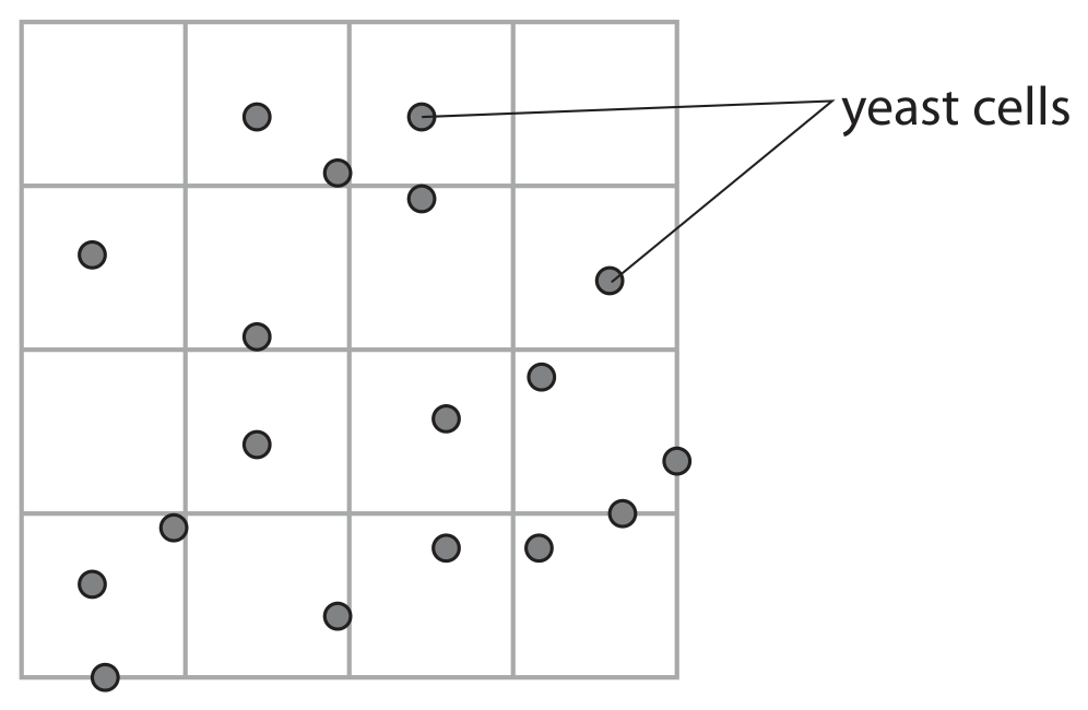 Figure for Question 7(b)(i) — Edexcel A-Level Biology A2