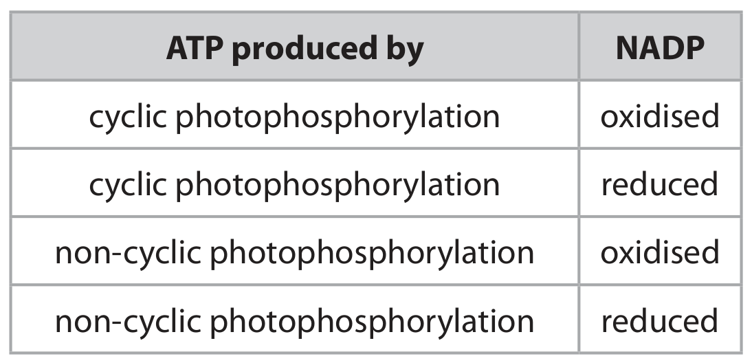 Table for Question 2(a)(i) — Edexcel A-Level Biology A2