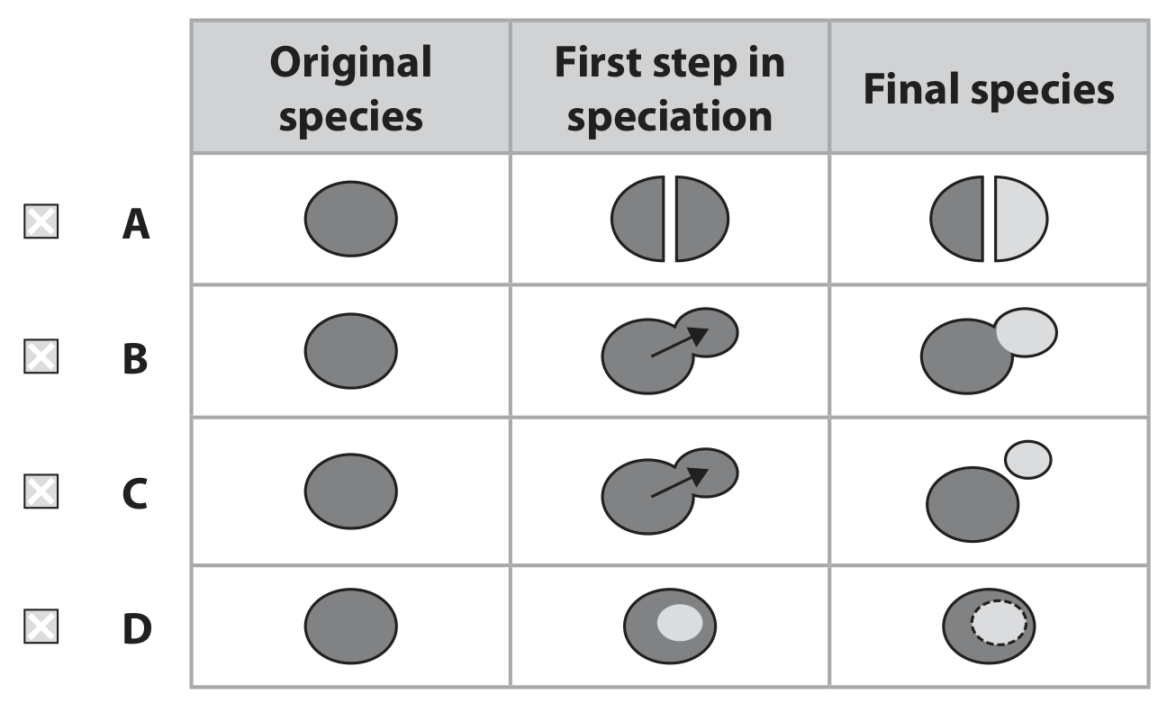 Table for Question 3(b) — Edexcel A-Level Biology A2