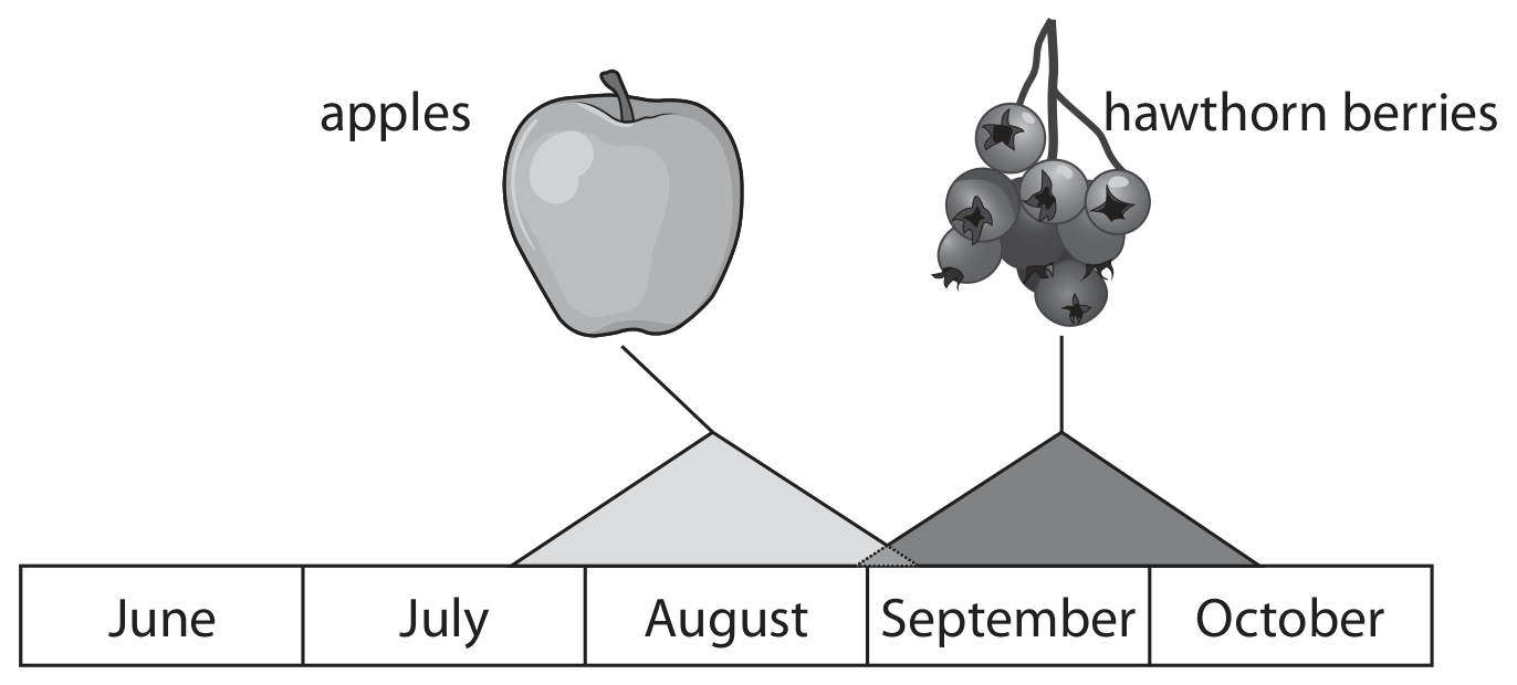 Figure for Question 3(c) — Edexcel A-Level Biology A2