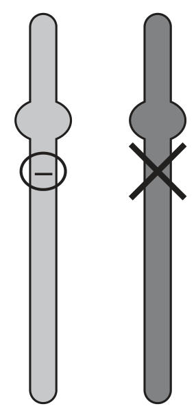 Figure for Question 5(c) — Edexcel A-Level Biology AS