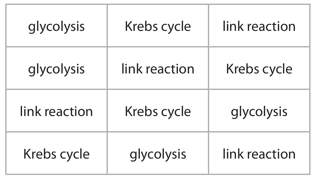 Table for Question 1(a) — Edexcel A-Level Biology A2