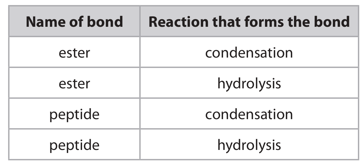 Table for Question 1(b) — Edexcel A-Level Biology AS