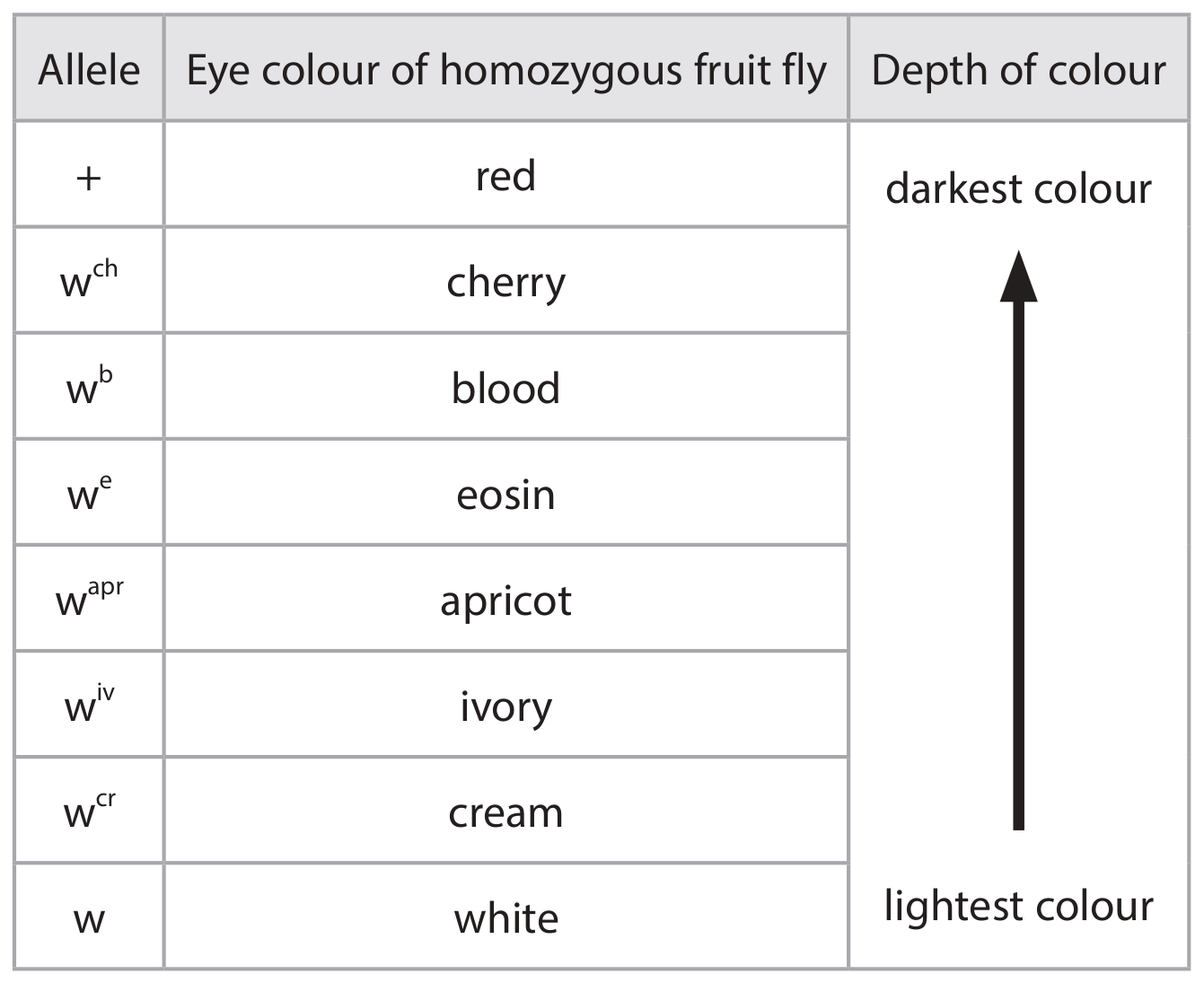 Table for Question 5(a) — Edexcel A-Level Biology AS