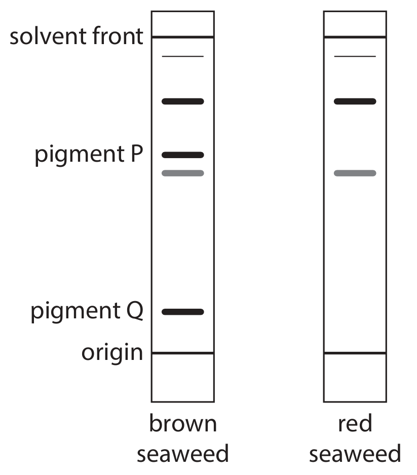 Figure for Question 1(b) — Edexcel A-Level Biology A2