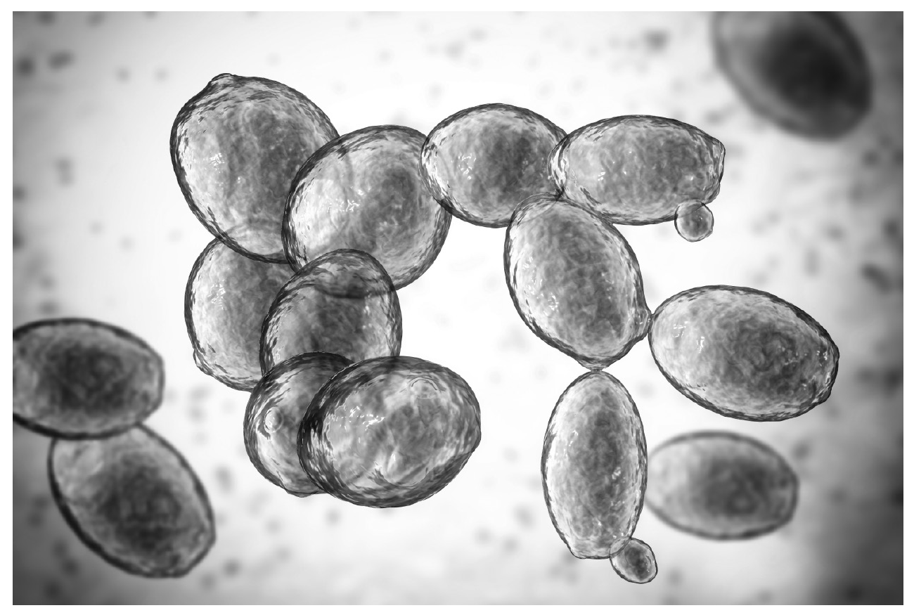 Figure for Question 1 — Edexcel A-Level Biology A2