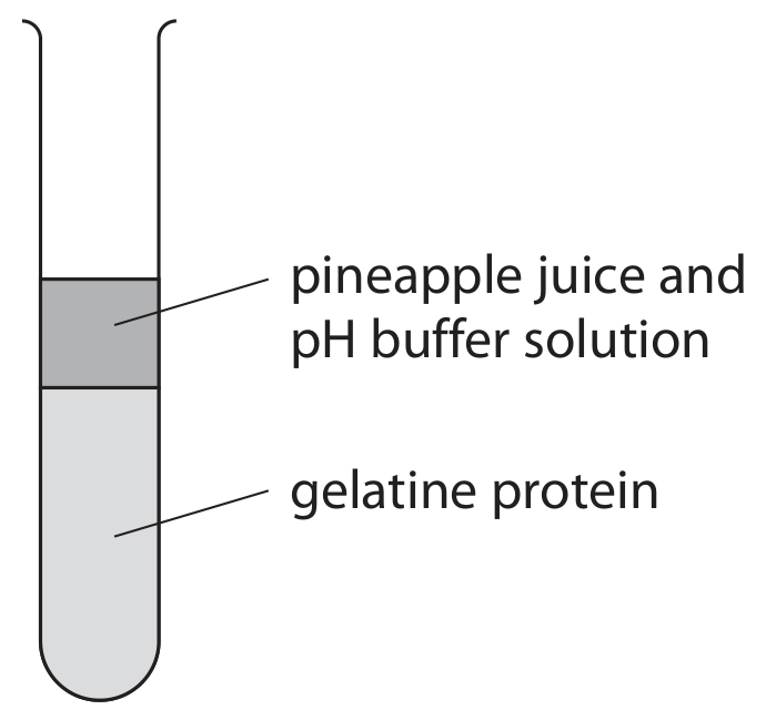 Figure for Question 5(a)(i) — Edexcel IGCSE Biology