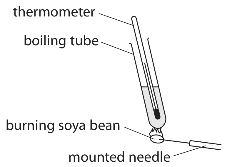 Figure for Question 4(b)(ii) — Edexcel IGCSE Biology