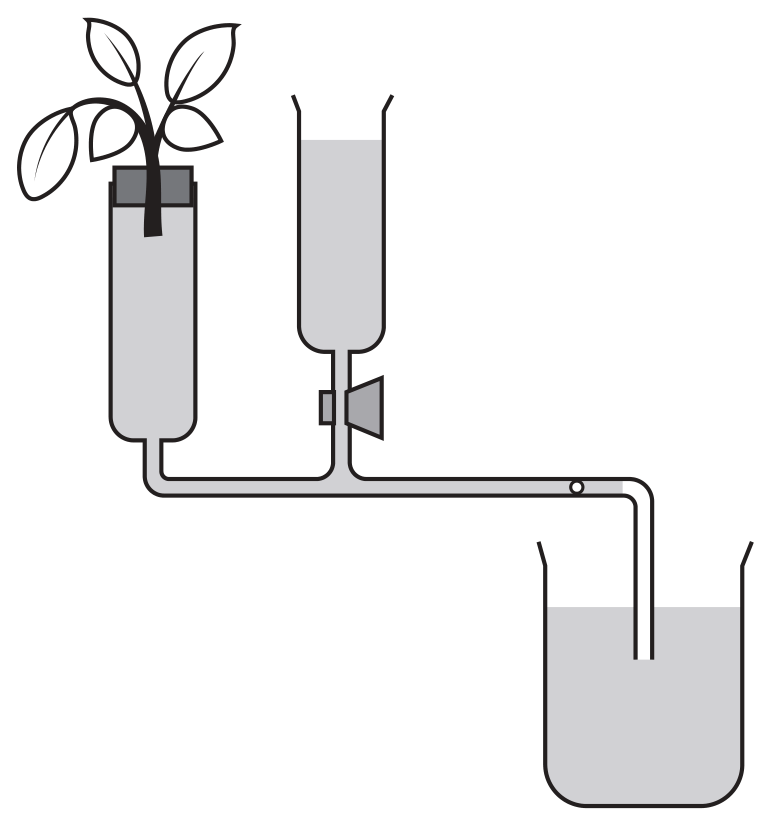 Figure for Question 2 — Edexcel IGCSE Biology
