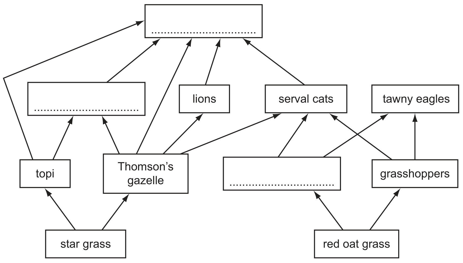 Fig. 1.1