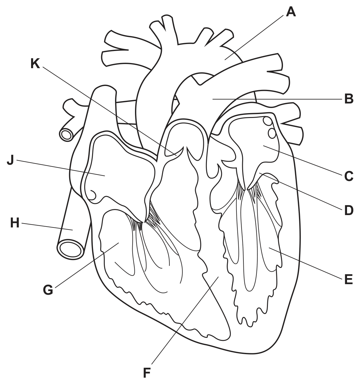Fig. 1.1