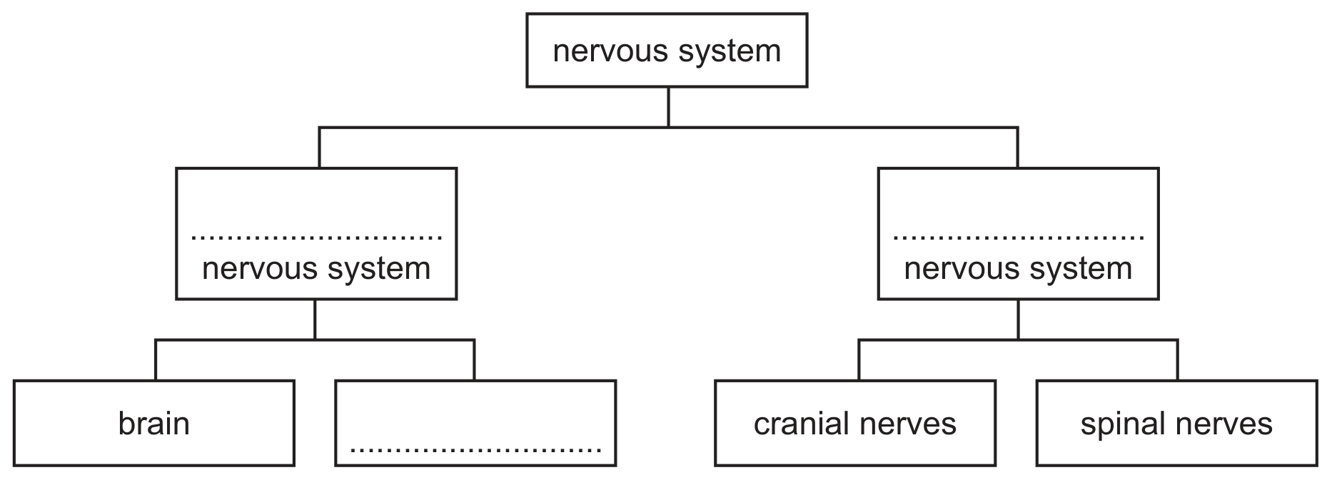 Fig. 2.1