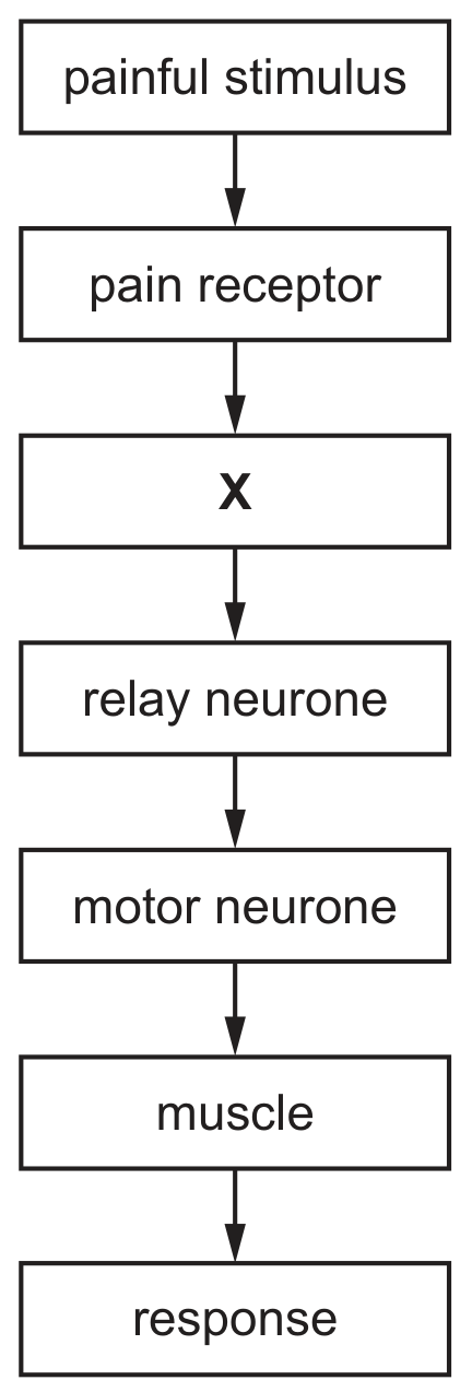 Fig. 2.2