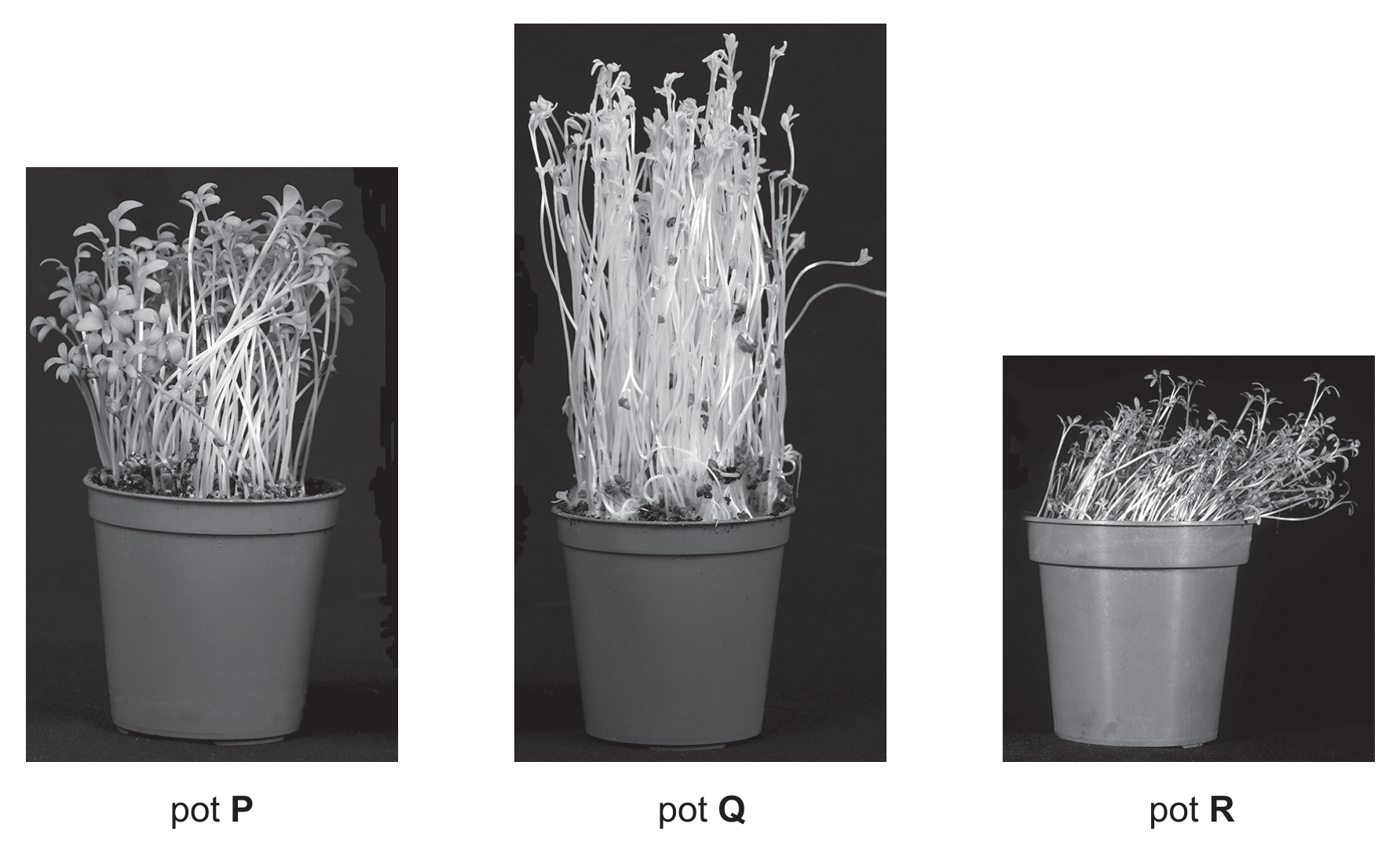 Fig. 2.3