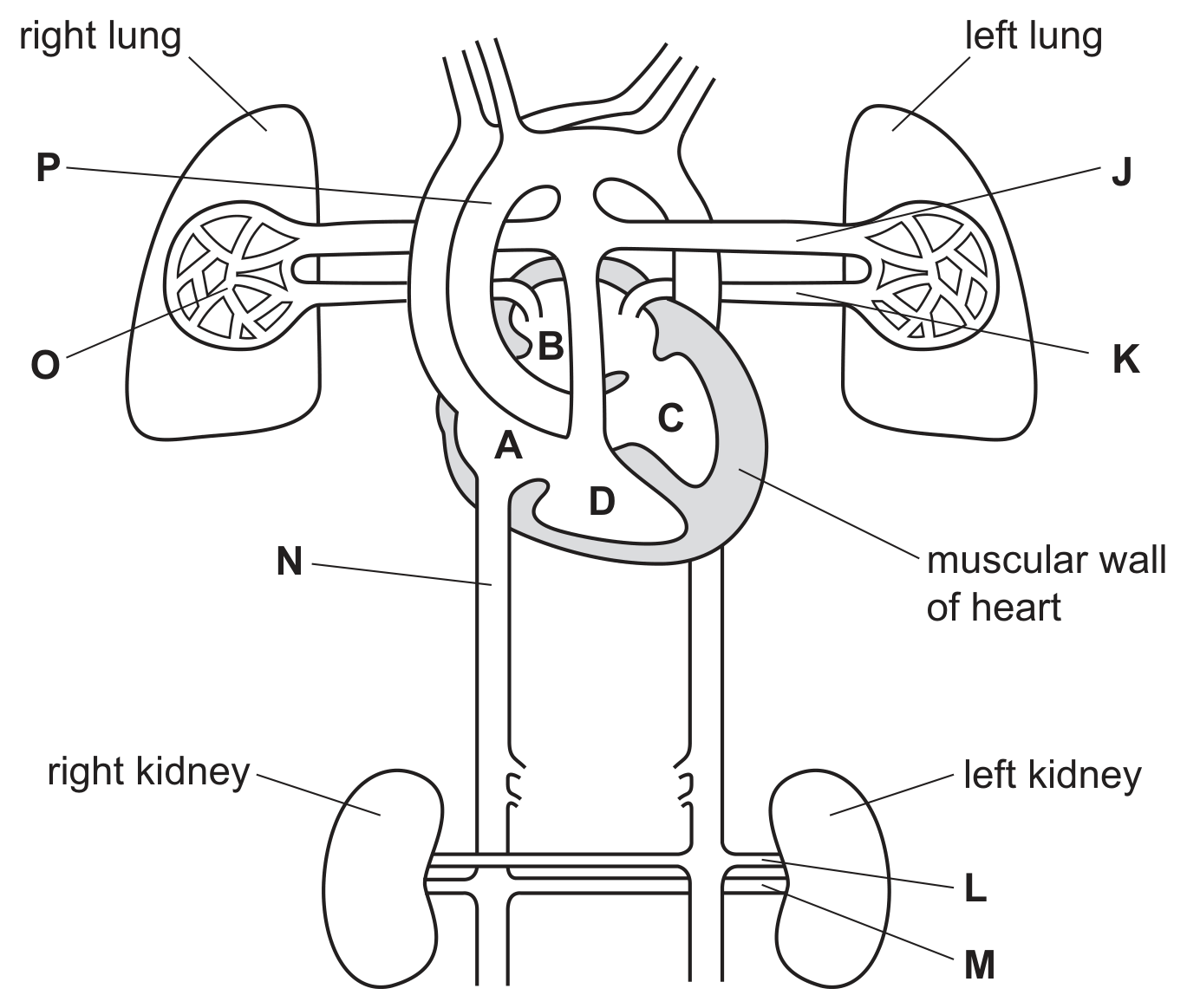 Fig. 1.1